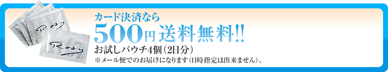 カード決済なら500円（送料無料）